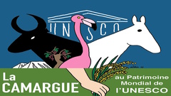 INVITATION à la présentation de l’association LA CAMARGUE A L'UNESCO et de son projet de classement de la Camargue et du Delta du Rhône au patrimoine mondial naturel de l’UNESCO